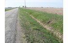 Property photo 14 - 172 Acres Offered in 3 Tracts - Prime Farmland